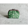Oil Pouch - Klein 8 Flaschen - Äpfel Grün