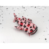 Walhai "Leo Pink"